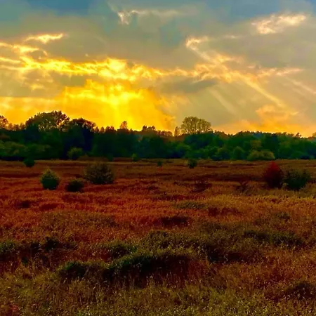 Westin House Kolobrzeg-219