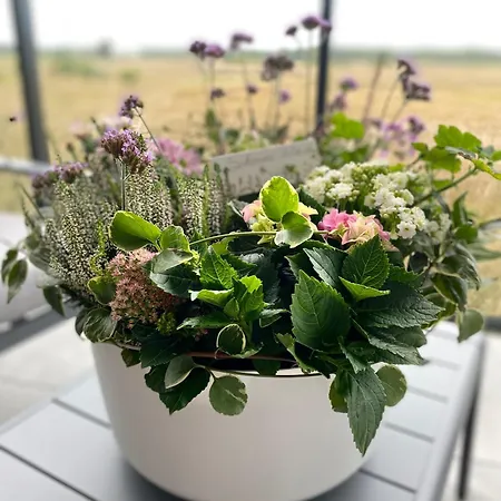 Daire Westin House Kolobrzeg-219 *