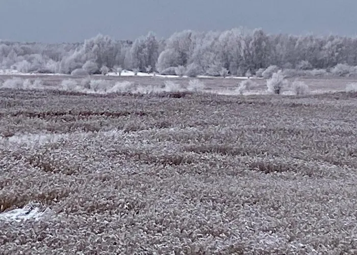 Westin House Kolobrzeg-219 Daire Kolobrzeg