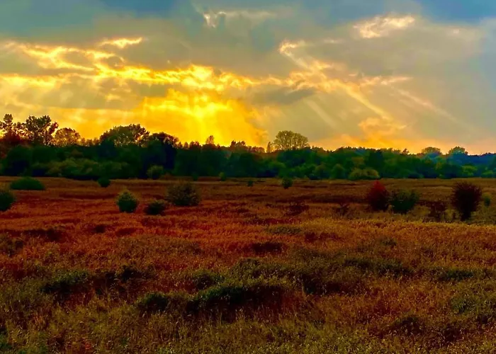 Westin House Kolobrzeg-219