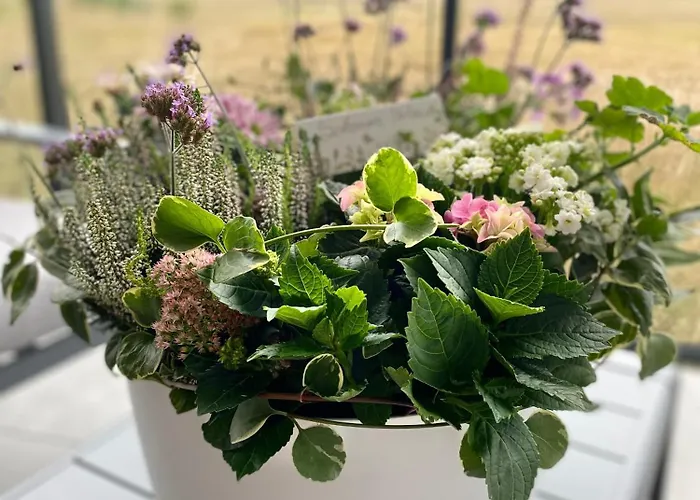 Daire Westin House Kolobrzeg-219 *